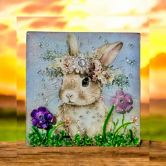 Hoppy Bunny